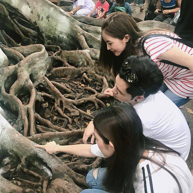 เลขเด็ด ทอม อิศรา จากต้นไม้