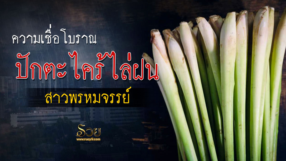 ปักตะไคร้