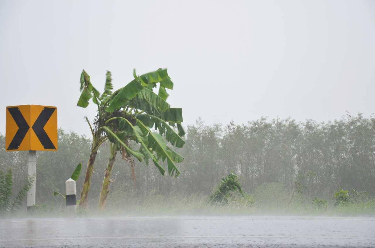 ฝนตกหนัก
