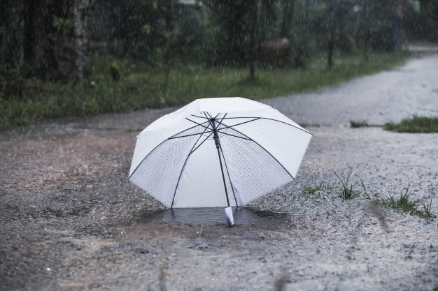 ฝันเห็นฝนตก เลขเด็ด