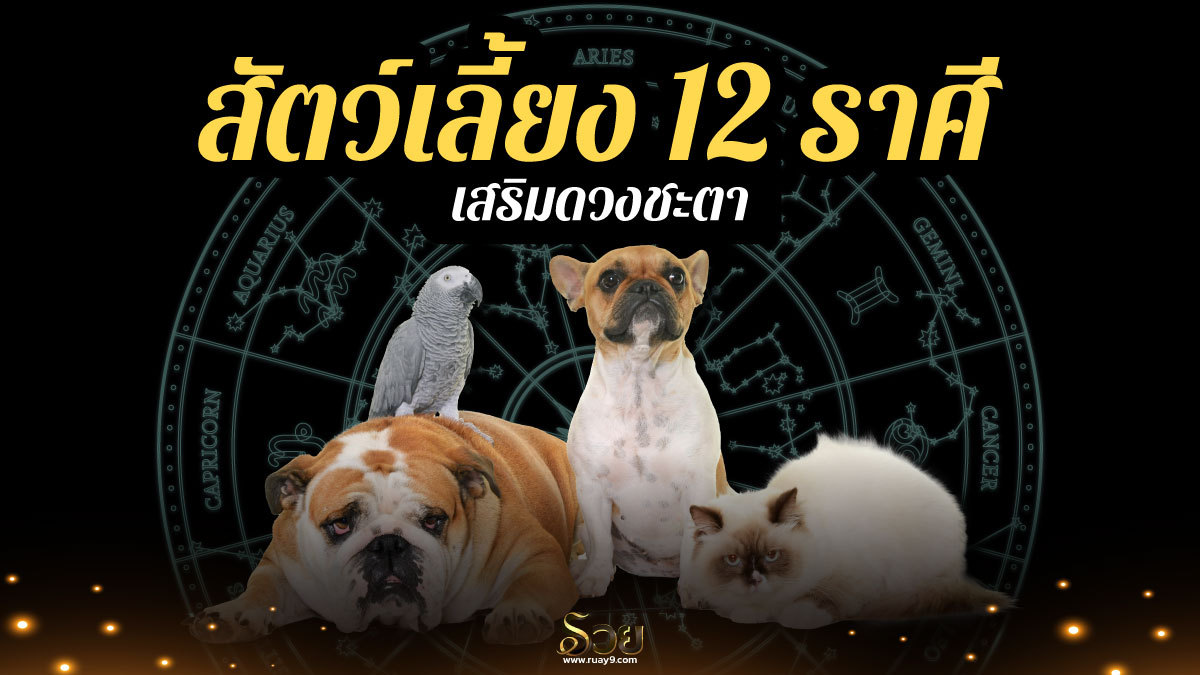 สัตว์เลี้ยงตามราศี