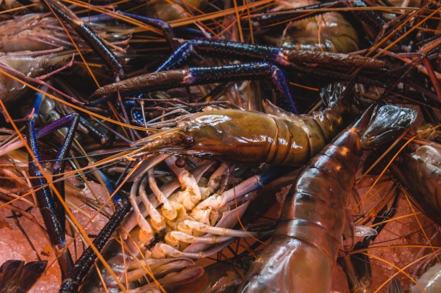 กุ้งเยอะมาก