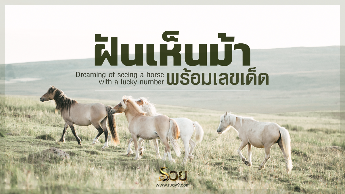ฝันเห็นม้า