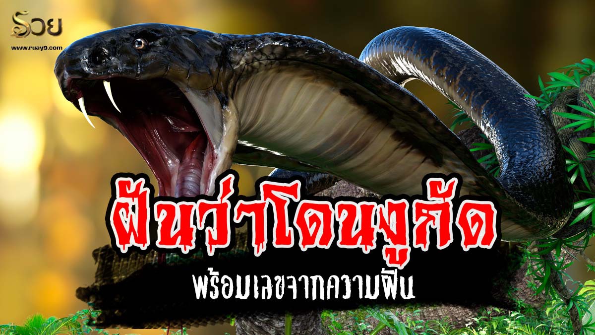 ฝันว่าโดนงูกัด